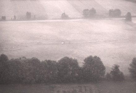 scan0020.tif